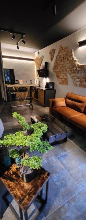 Luxury Old Town Apartments , Gym, Hammock Free Parking! Krakow Ngoại thất bức ảnh